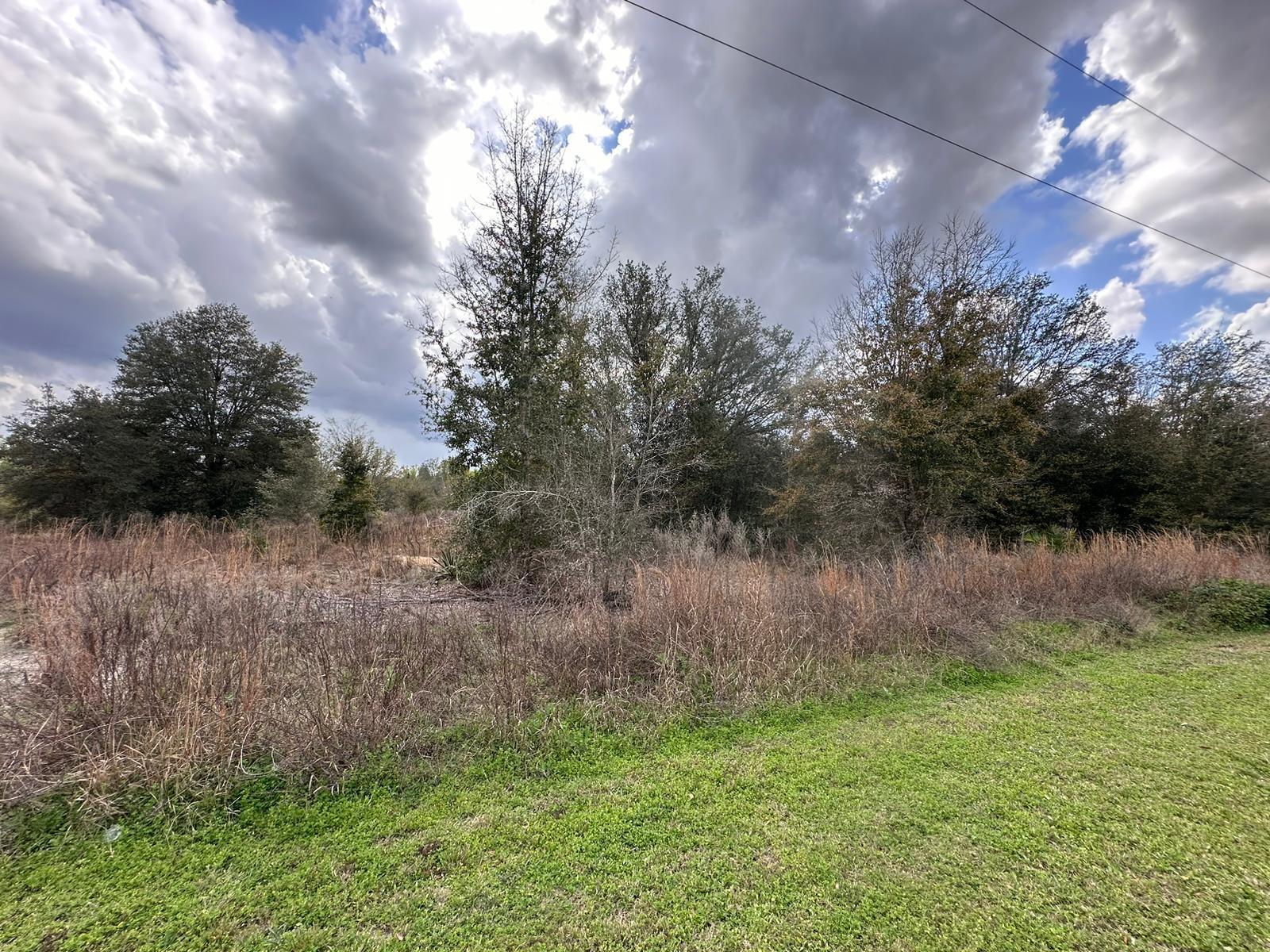 0000 SW 107th Street, Dunnellon, FL, 34432 0000 SW 107th Street, Dunnellon, FL, 34432