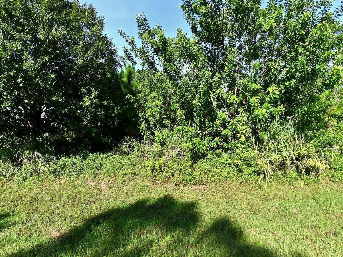 Tbd Palm Drive, Fort Pierce, FL, 34982 Tbd Palm Drive, Fort Pierce, FL, 34982