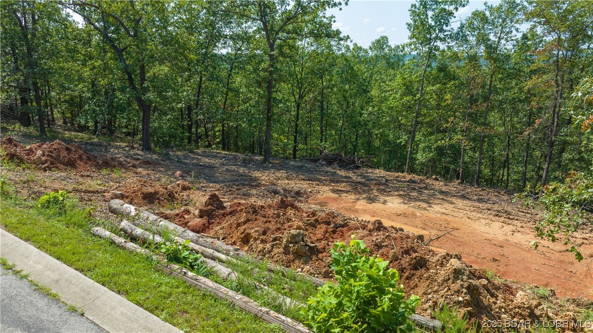 Lot 36 Chippewa Place, Linn Creek, MO, 65052