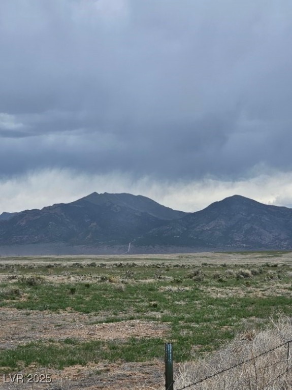 2951 E Dandelion Street, Pahrump, NV, 89048