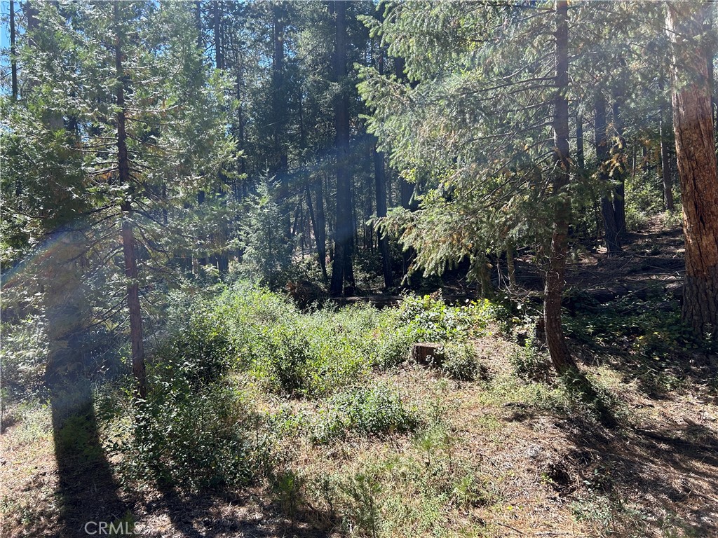 0 coutelenc, Magalia, CA, 95954 0 coutelenc, Magalia, CA, 95954