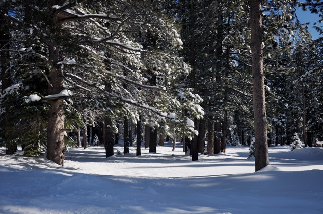 13742 Skiview Loop Truckee CA 96161 Sold Property