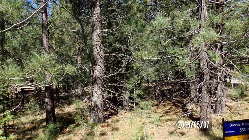 7300 Canyon Drive Portola CA 96122 Sold Property