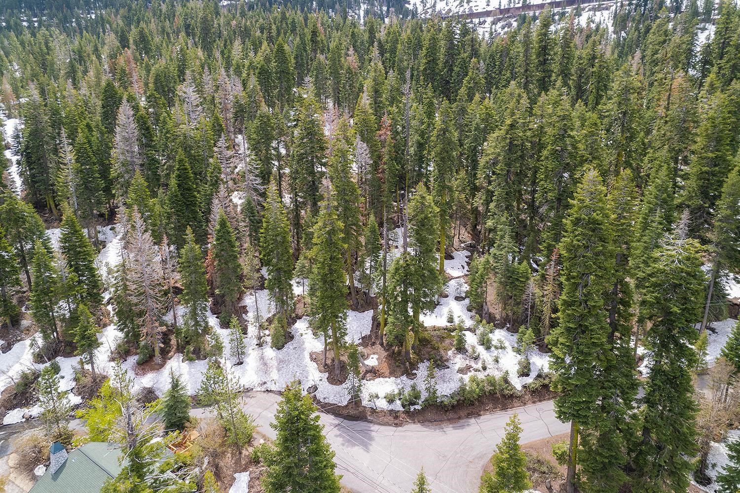 14601 Mt Judah Drive Truckee CA 96161 Sold Property