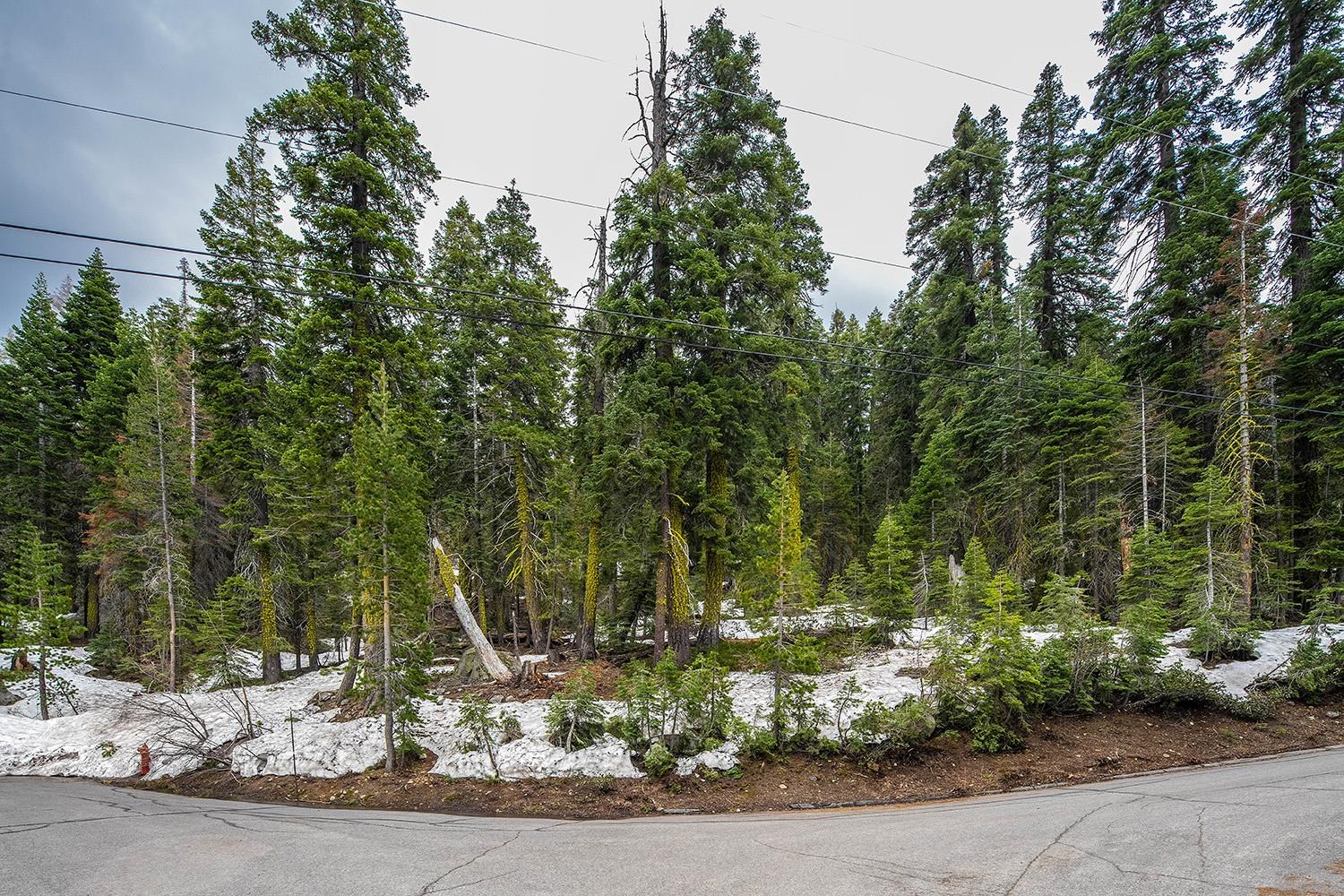 14601 Mt Judah Drive Truckee CA 96161 Sold Property