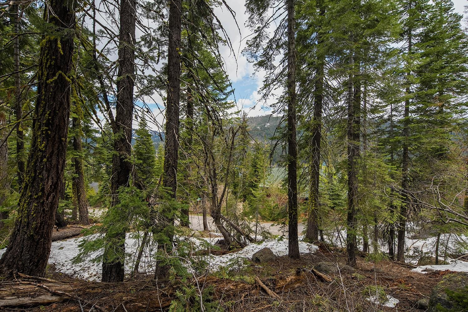 14601 Mt Judah Drive Truckee CA 96161 Sold Property