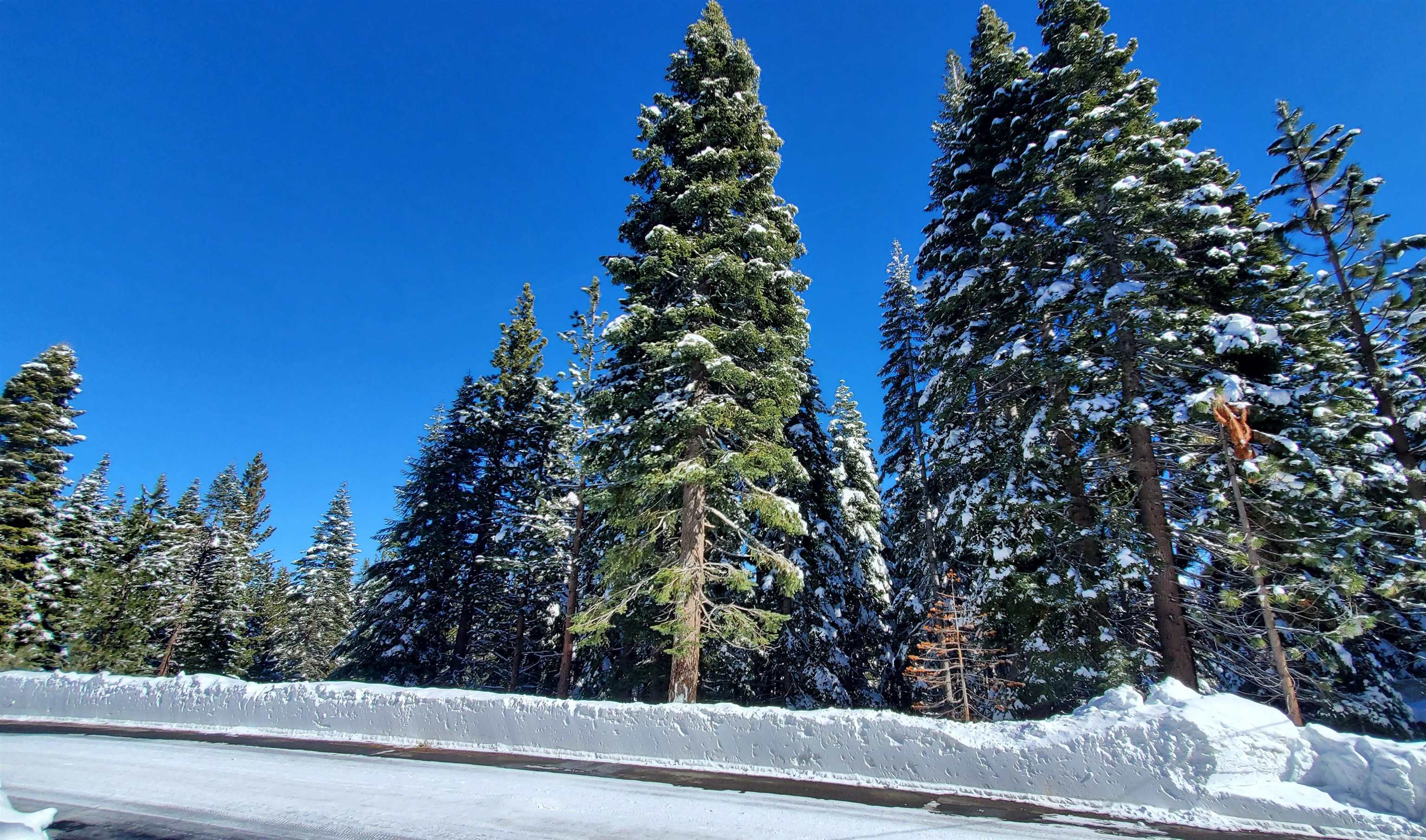 11055 Innsbruck Avenue Truckee CA 96161-6558 Sold Property