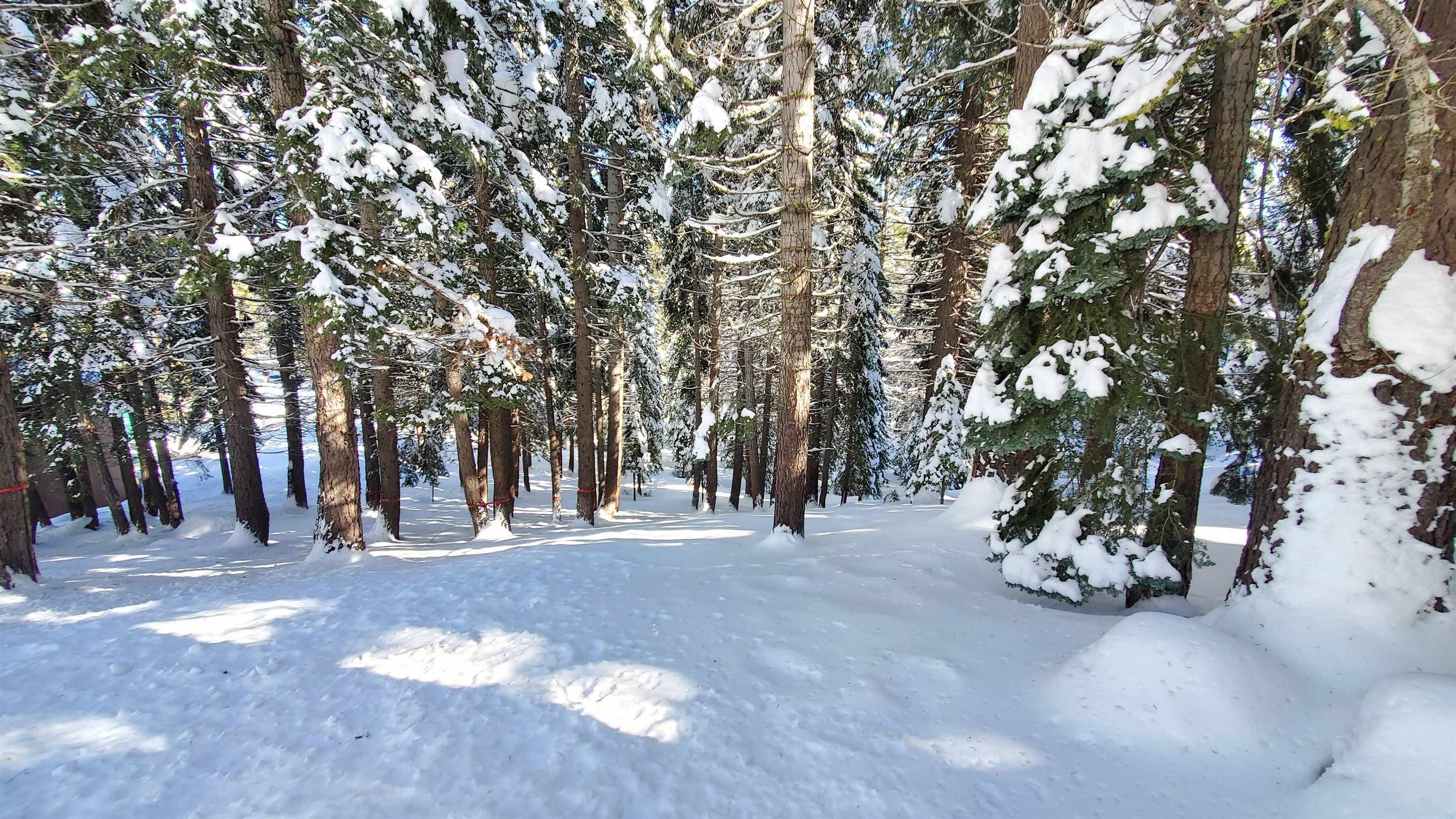 11055 Innsbruck Avenue Truckee CA 96161-6558 Sold Property