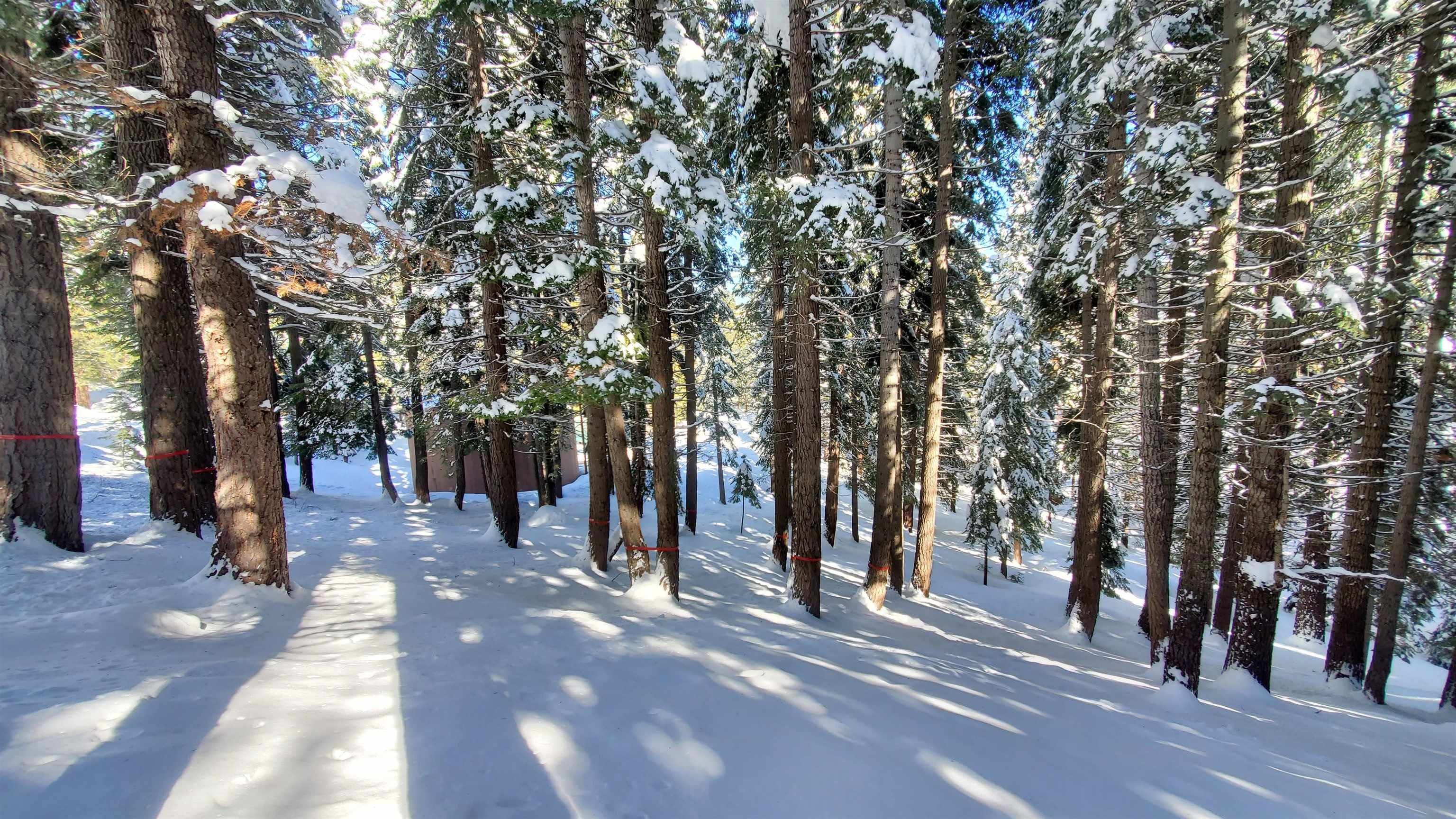 11055 Innsbruck Avenue Truckee CA 96161-6558 Sold Property