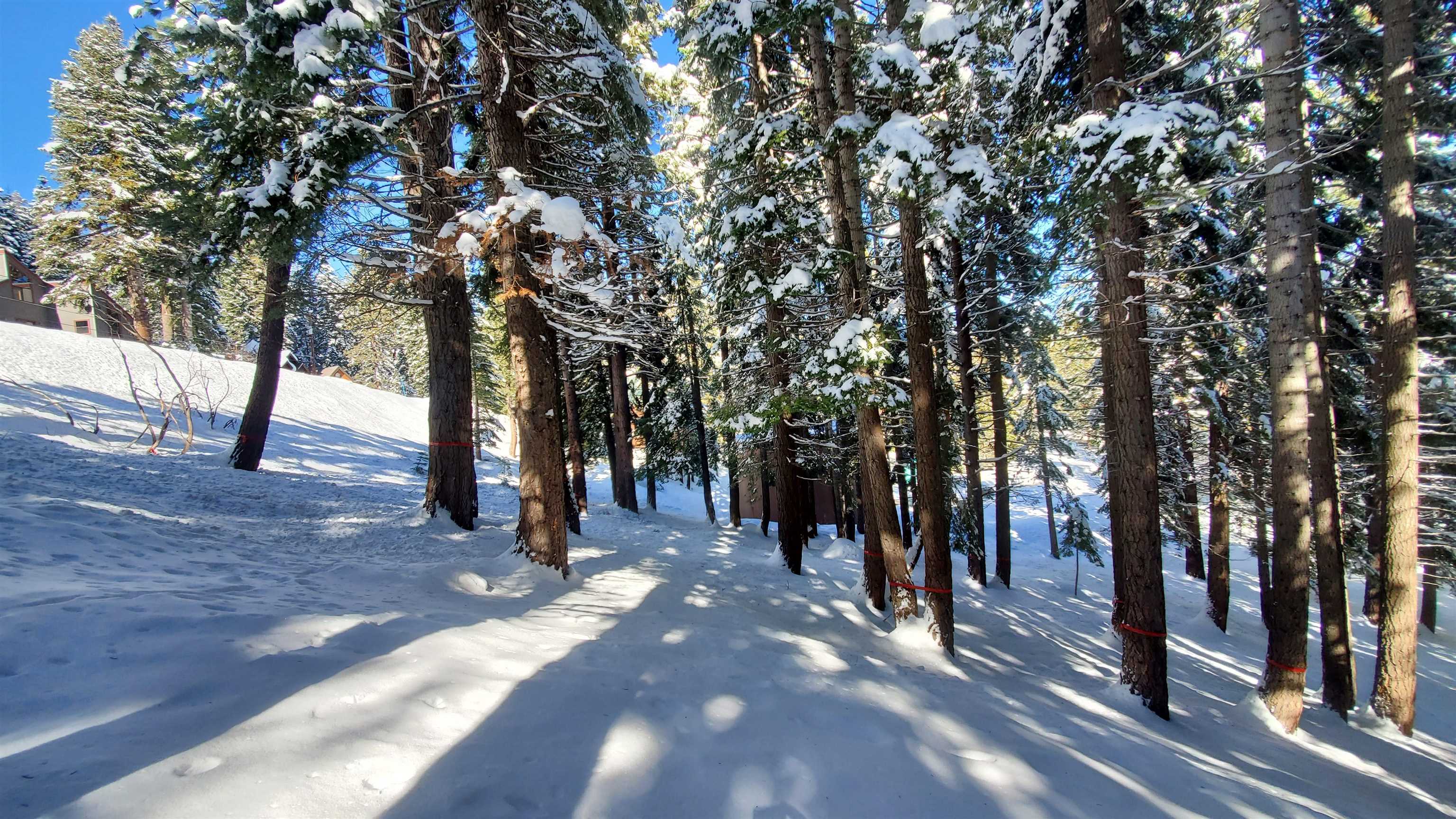 11055 Innsbruck Avenue Truckee CA 96161-6558 Sold Property