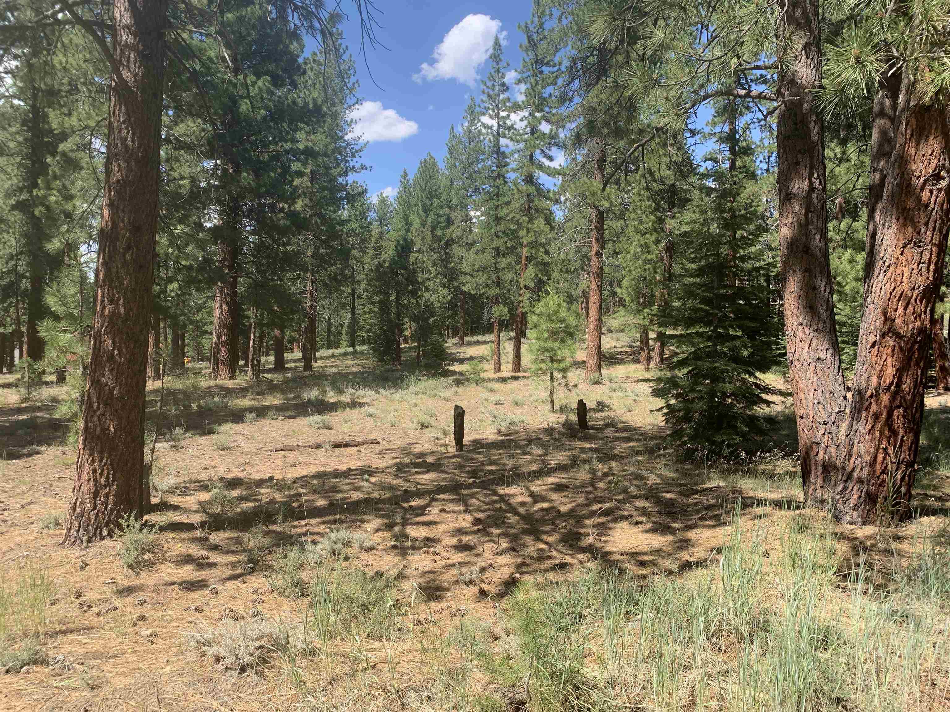 000 Kent Drive Truckee CA 96161 Sold Property