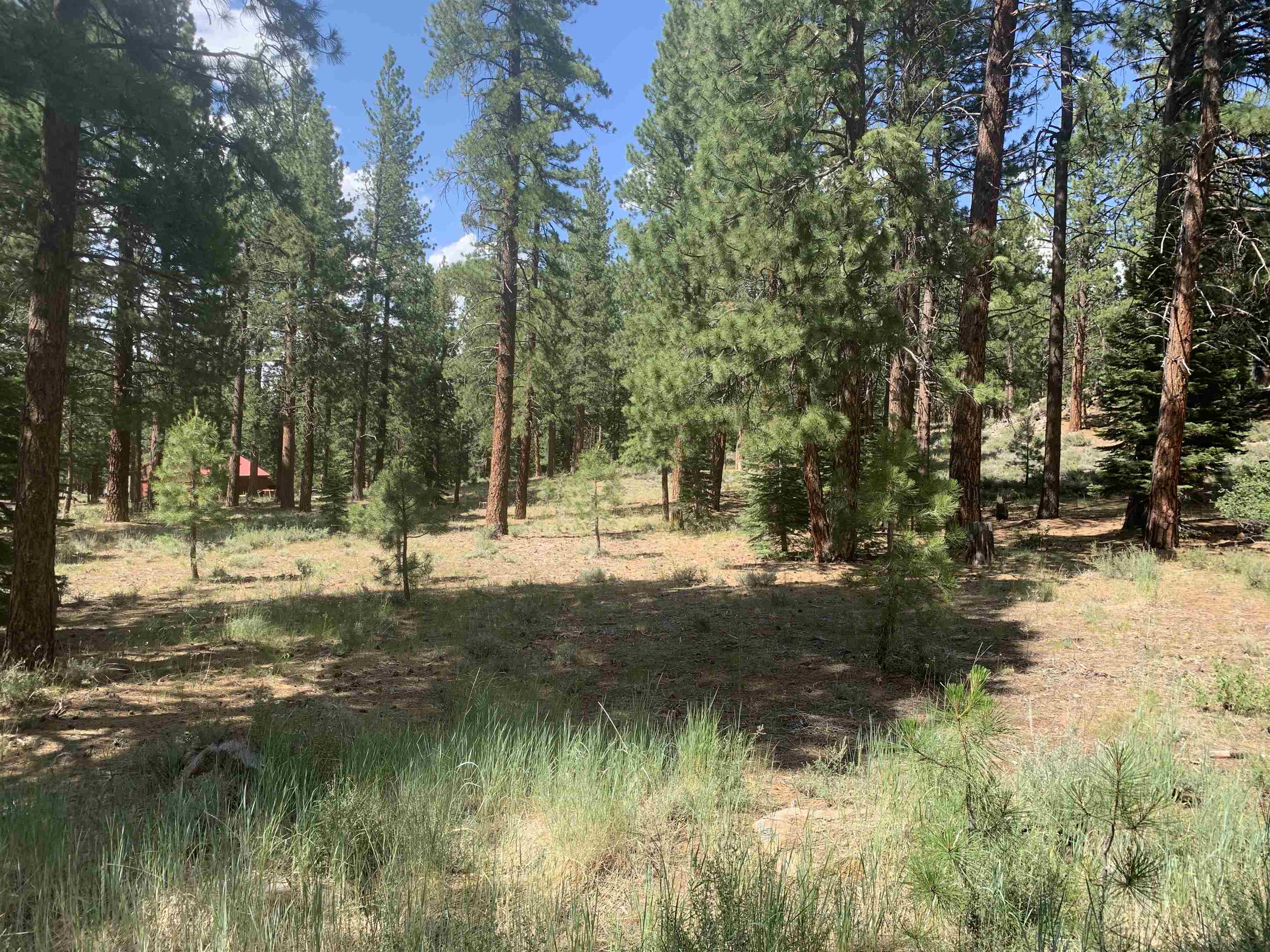 000 Kent Drive Truckee CA 96161 Sold Property