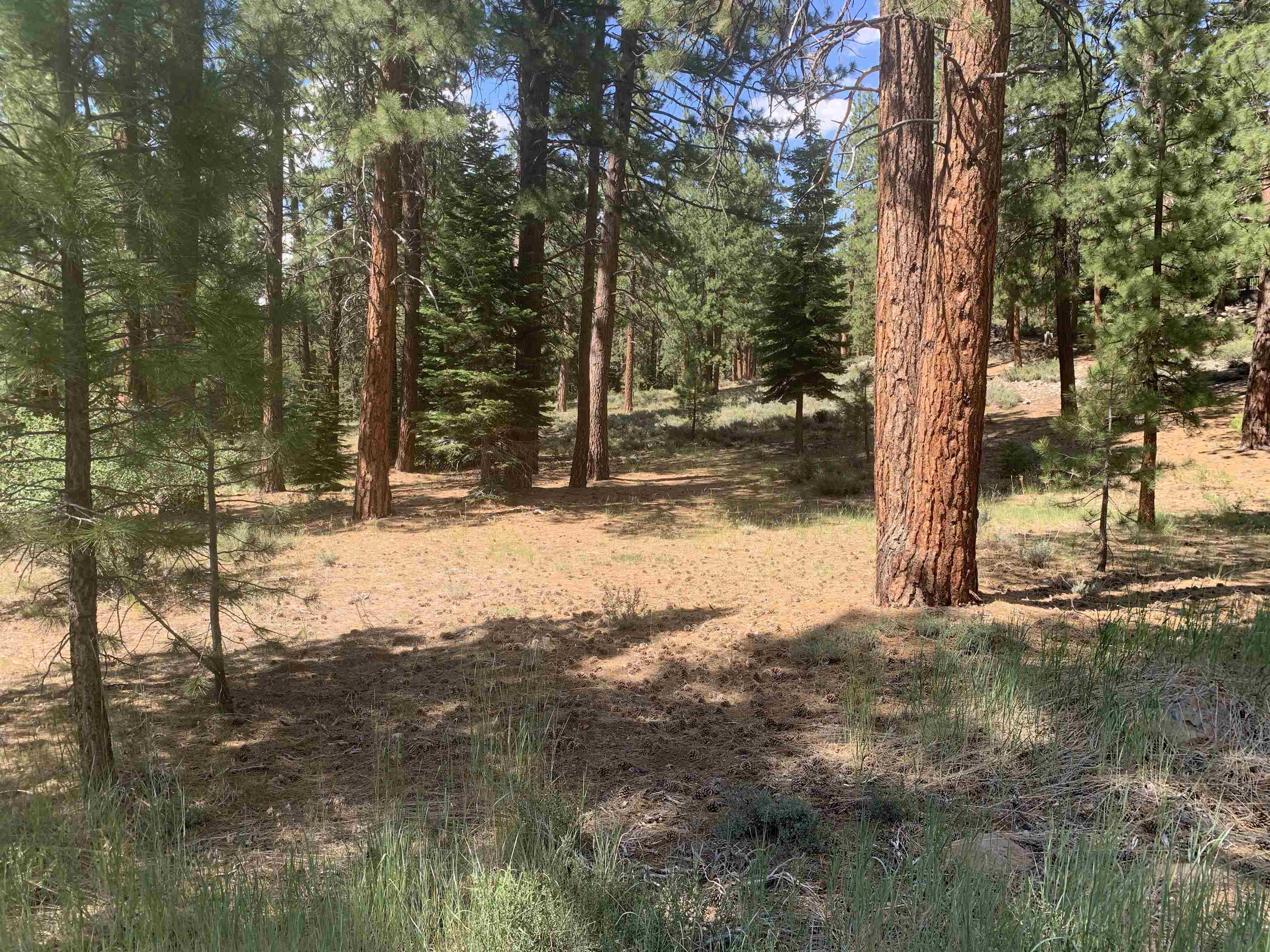 000 Kent Drive Truckee CA 96161 Sold Property