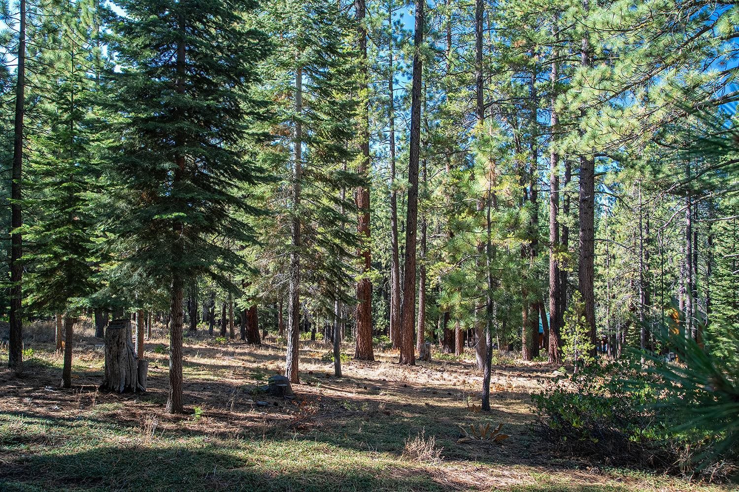 11260 Mougle Lane Truckee CA 96161 Sold Property