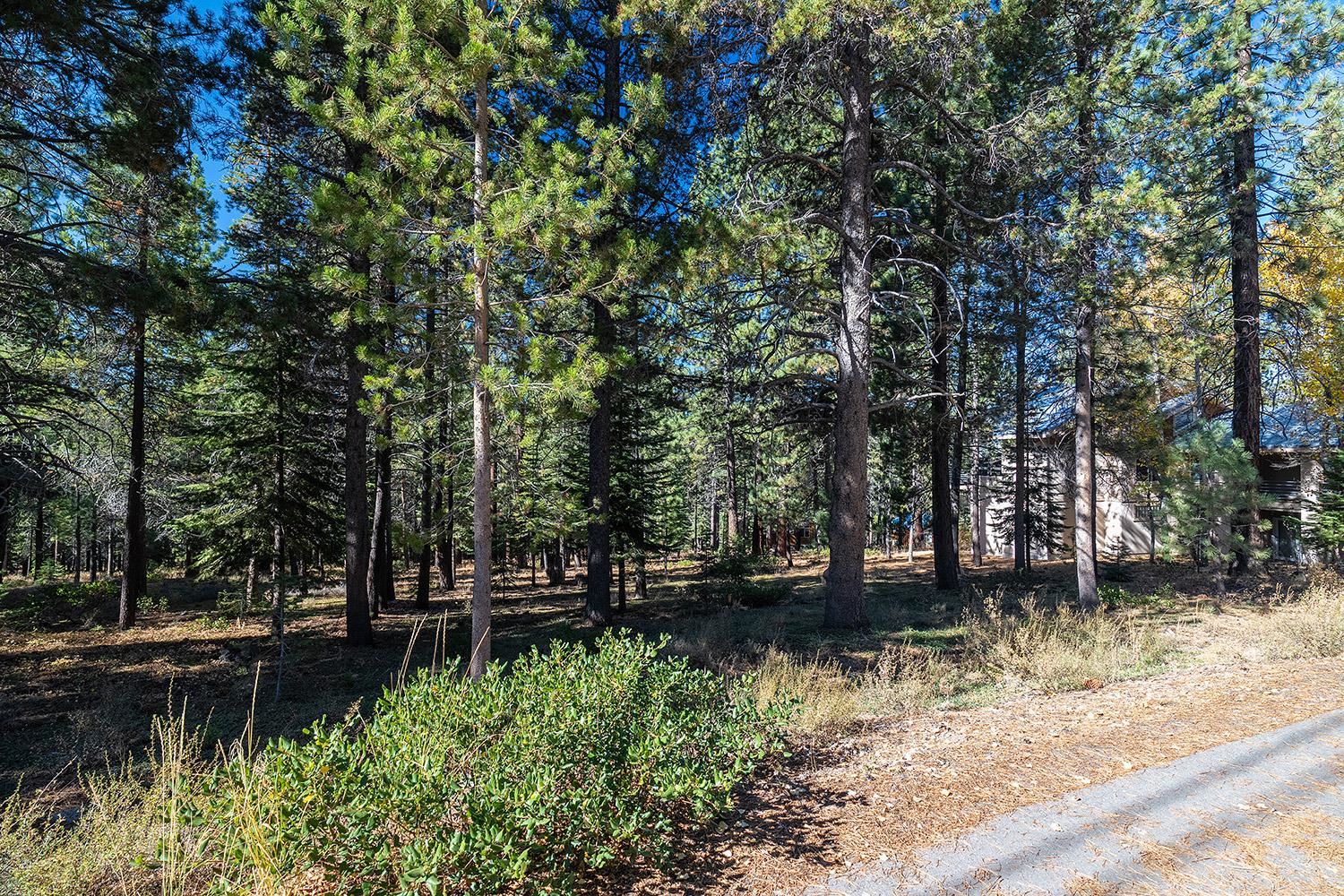 11260 Mougle Lane Truckee CA 96161 Sold Property