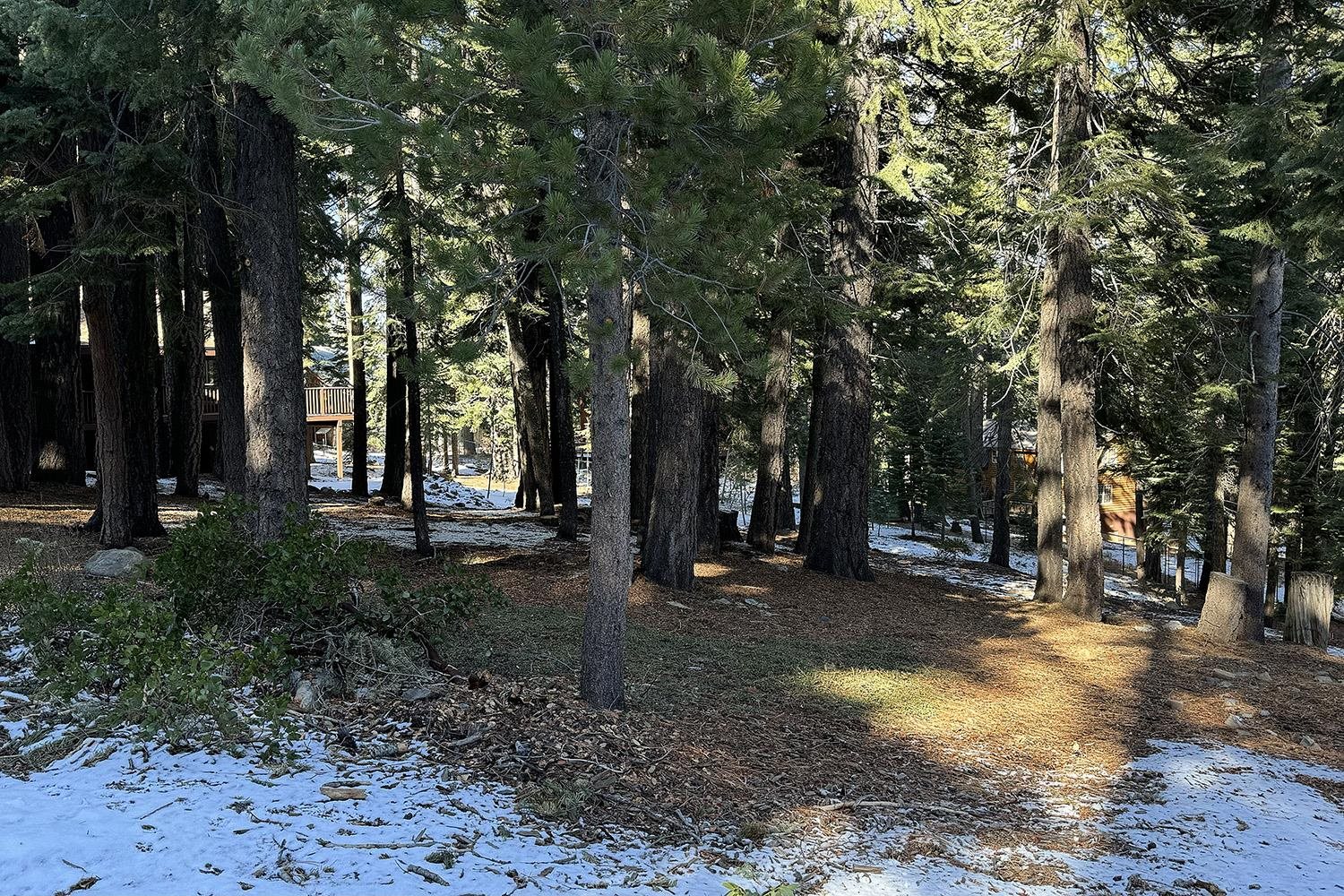 10648 Laurelwood Drive Truckee CA 96161 Sold Property