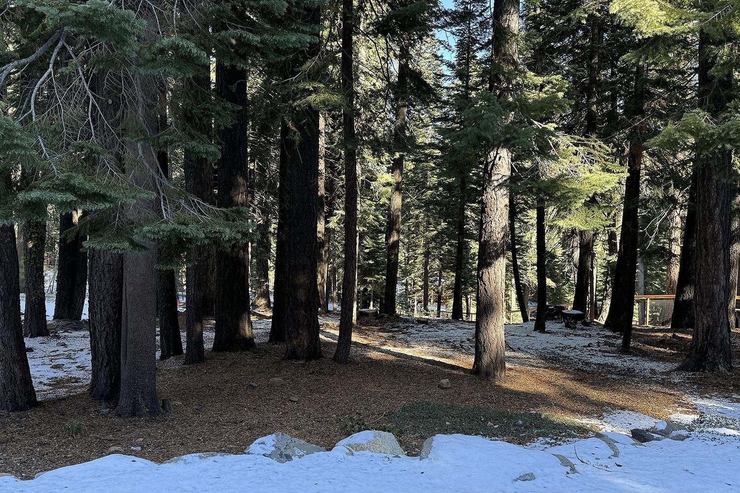 10648 Laurelwood Drive Truckee CA 96161 Sold Property