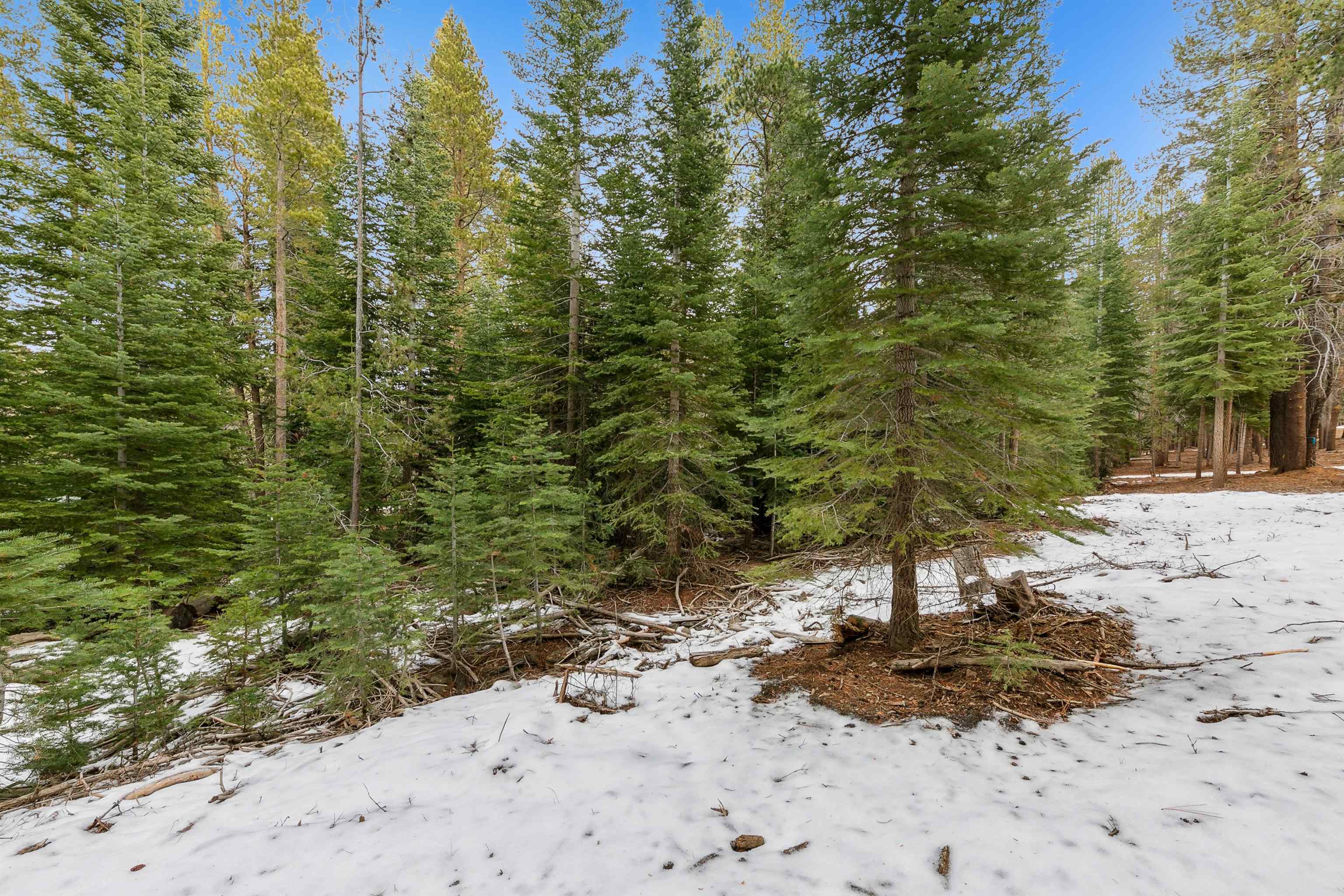 12468 Greenwood Drive Truckee CA 96161 Sold Property