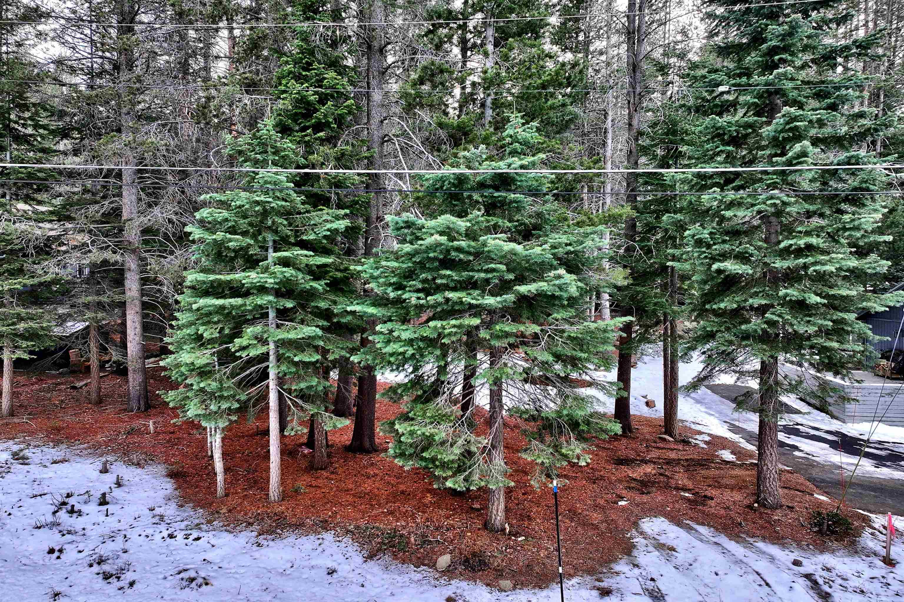 12468 Greenwood Drive Truckee CA 96161 Sold Property