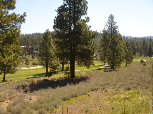 196 Basque Truckee CA 96161 Sold Property