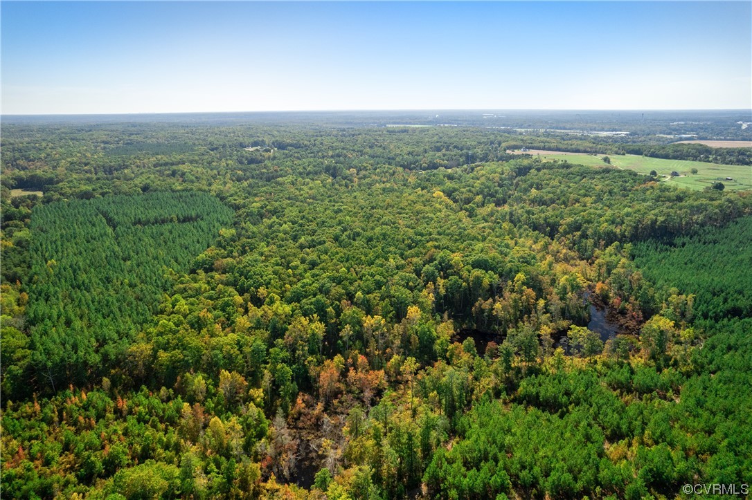 View of drone / aerial view