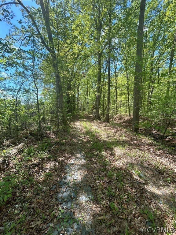 View of local wilderness