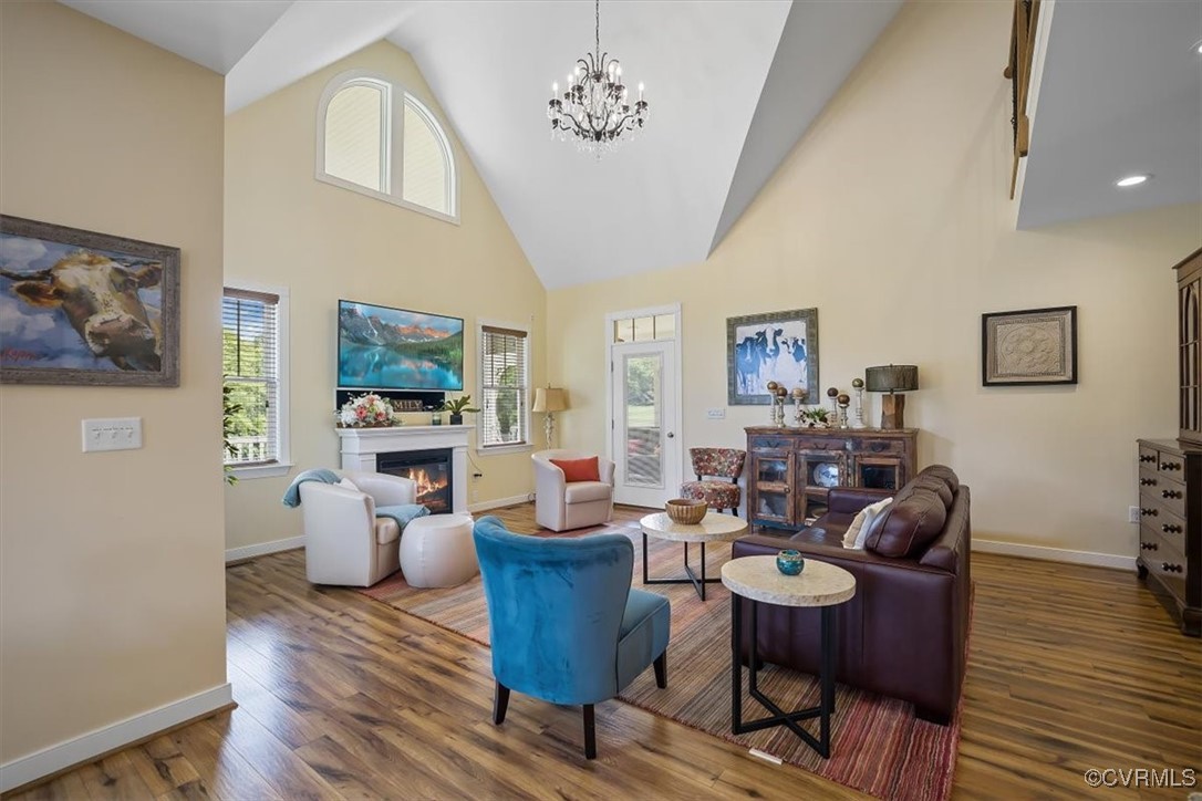 Living room with hardwood / wood-style floors, hig