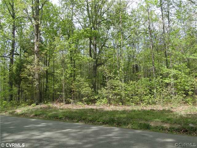 4386 Worsham Rd Exterior Front - Beautifully wooded with big Oak T