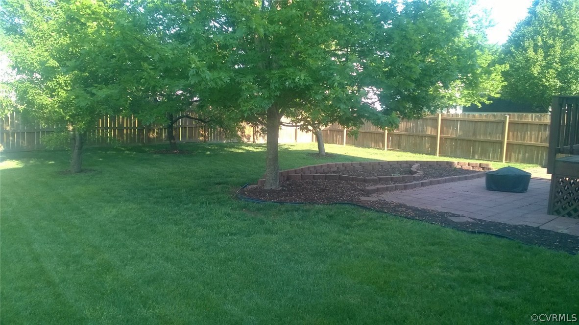 Lush yard!