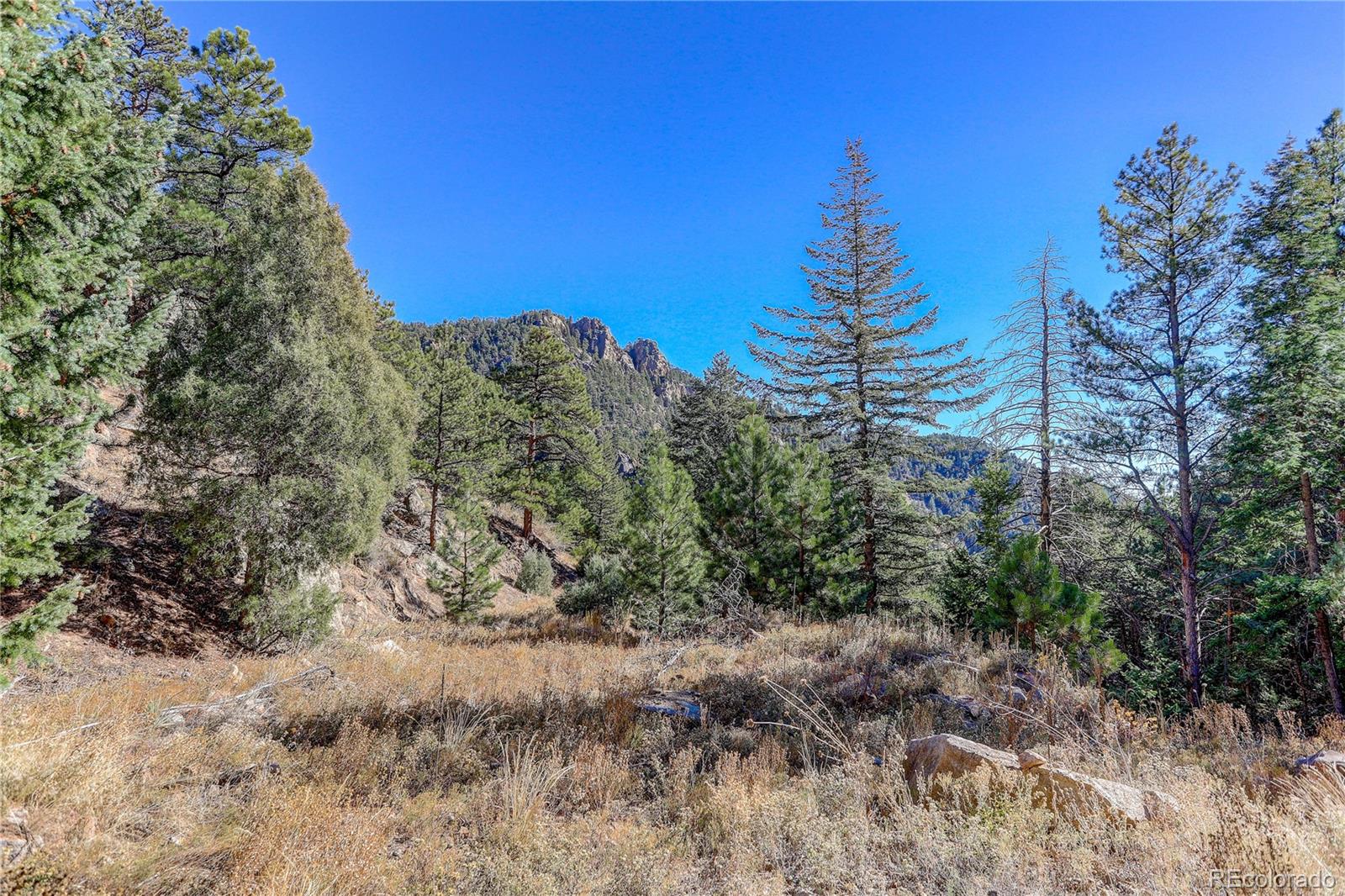 1560 James Jamestown Sold Property