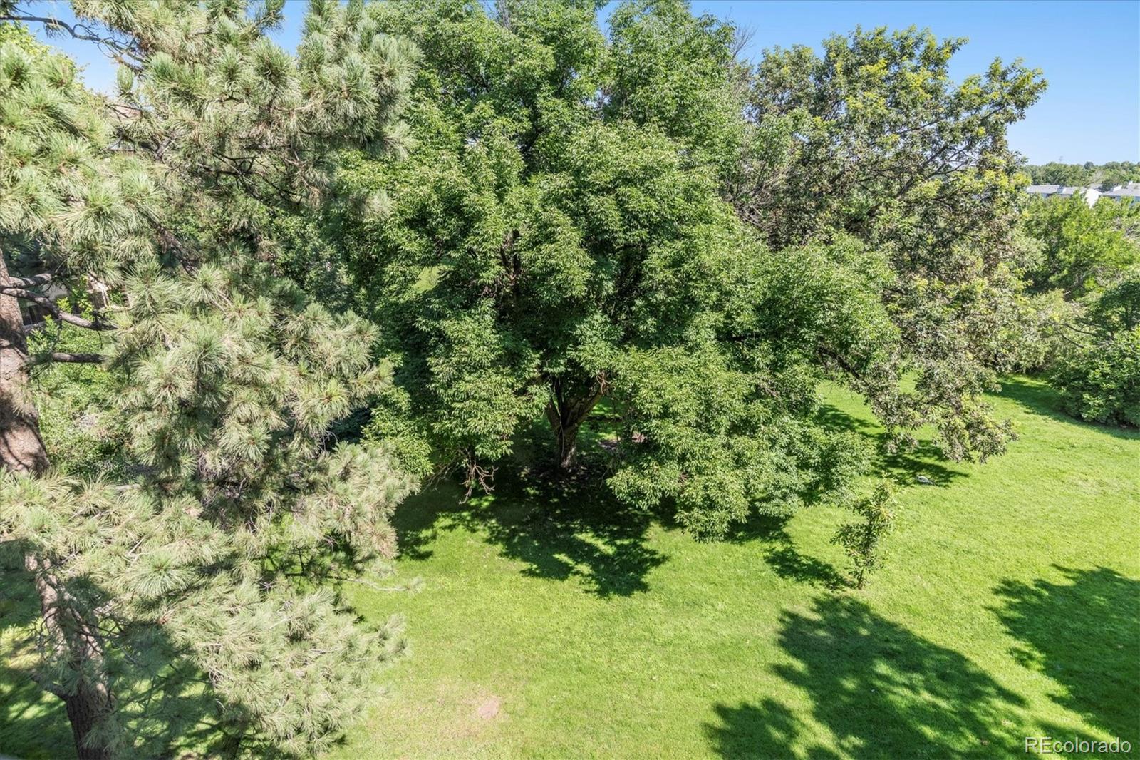 3450 Poplar UNIT 304, Denver CO 80224 Sold Property