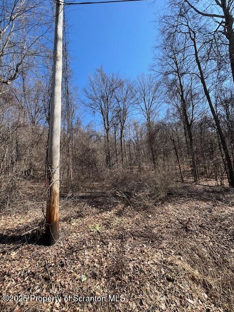 Lot 37 Johnson Hill Rd. Sold Property