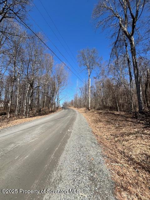 Lot 37 Johnson Hill Rd. Sold Property