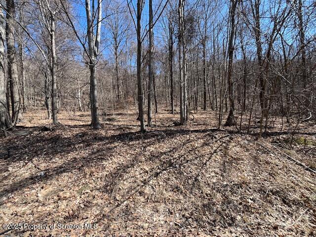 Lot 37 Johnson Hill Rd. Sold Property