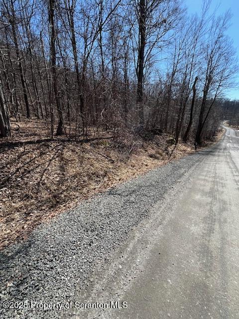 Lot 37 Johnson Hill Rd. Sold Property