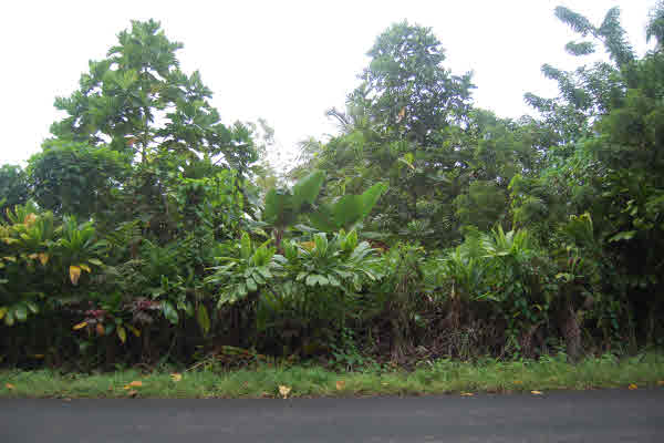 Opihikao Rd Pahoa Hi 96778 Sold Property