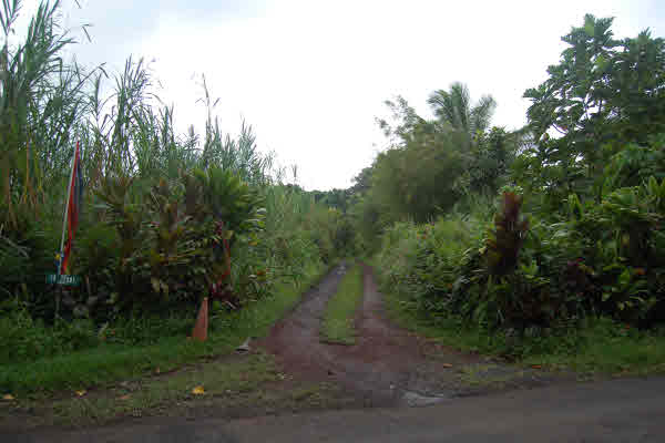 Opihikao Rd Pahoa Hi 96778 Sold Property
