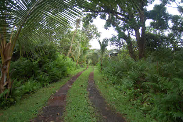 Opihikao Rd Pahoa Hi 96778 Sold Property
