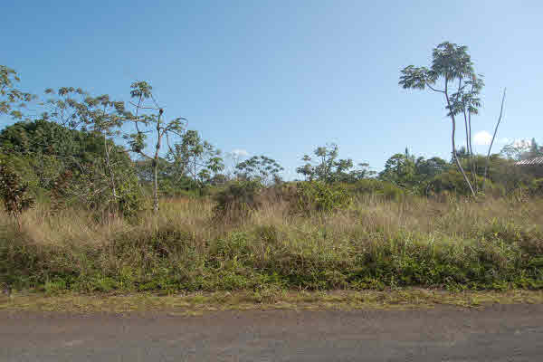 11th Ave Keaau Hi 96749 Sold Property