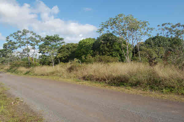 11th Ave Keaau Hi 96749 Sold Property