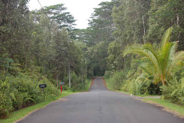 Mohala St Pahoa Hi 96778 Sold Property