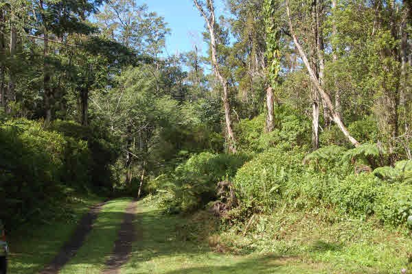 13-3543 Luana St Pahoa Hi 96778 Sold Property