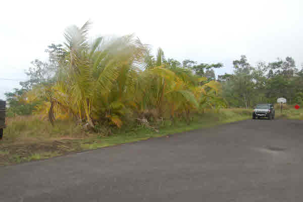 Koaekea St. Pahoa Hi 96778 Sold Property