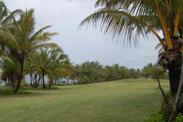 Koaekea St. Pahoa Hi 96778 Sold Property