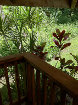 13-6550 Kapoho Kalapana Rd Pahoa Hi 96778 Sold Property