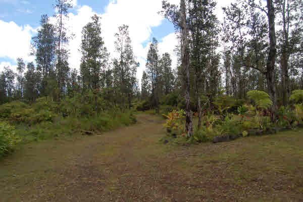 16-2048 Opeapea Rd Mountain View Hi 96771 Sold Property