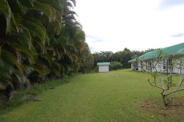 880 Kupulau Rd Hilo Hi 96720 Sold Property