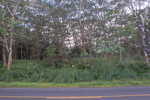 Pohoiki Rd Pahoa Hi 96778 Sold Property