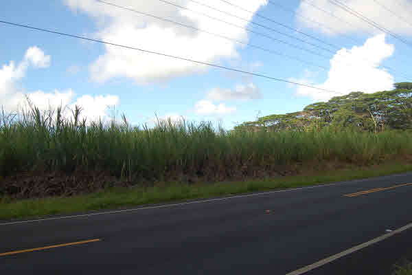 Pohoiki Rd Pahoa Hi 96778 Sold Property