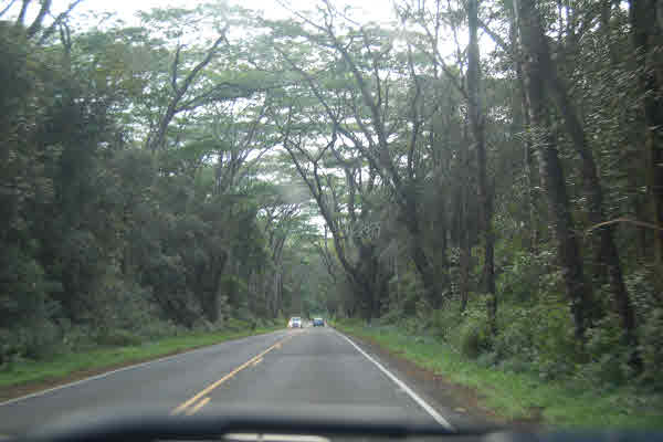 Pohoiki Rd Pahoa Hi 96778 Sold Property